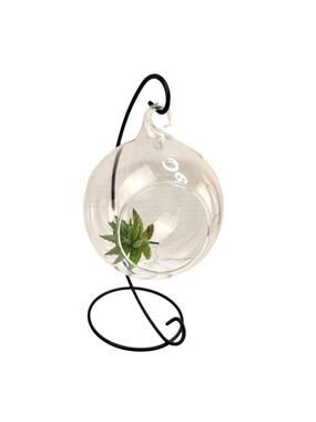 Hanging Glass Terrarium Metal Stand Planter Air Plants Succulents Candle
